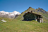 Salita al Passo dei Salato tra la Valsesia e la Valle del Lys (2.950 metri slm). Il massiccio del Monte Rosa.
